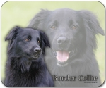 Mousepad Border Collie